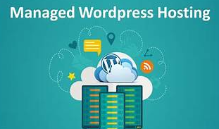 SEO Wordpress
